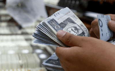 Saudi Arabia’s Public Investment Fund (PIF) is keen to inject investment into Egypt’s Sovereign Wealth Fund (TSFE) as well as into other projects, reports say citing a statement from the Egyptian government.